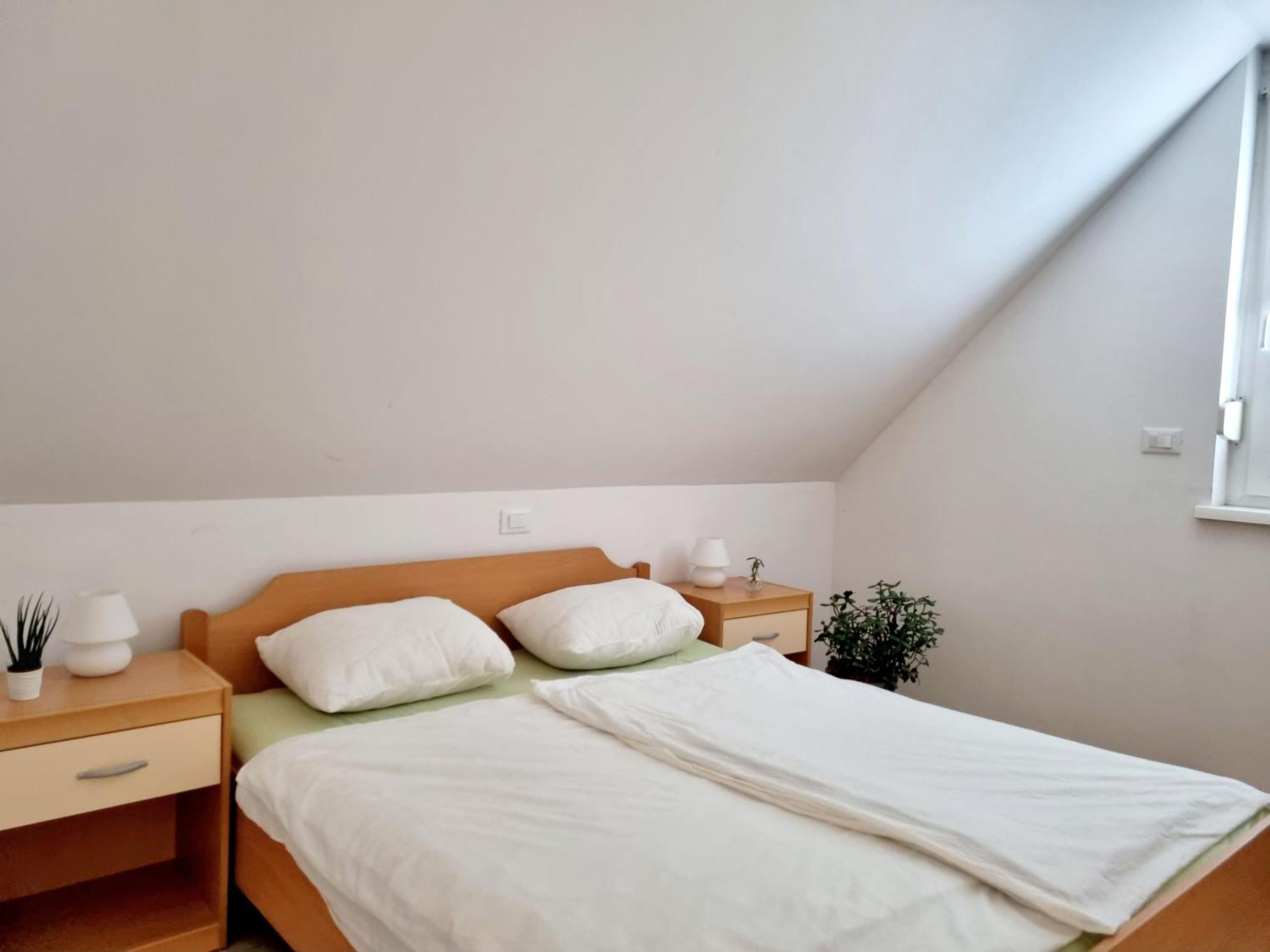 Apartmaji Pri Ticelnu Бовец Экстерьер фото